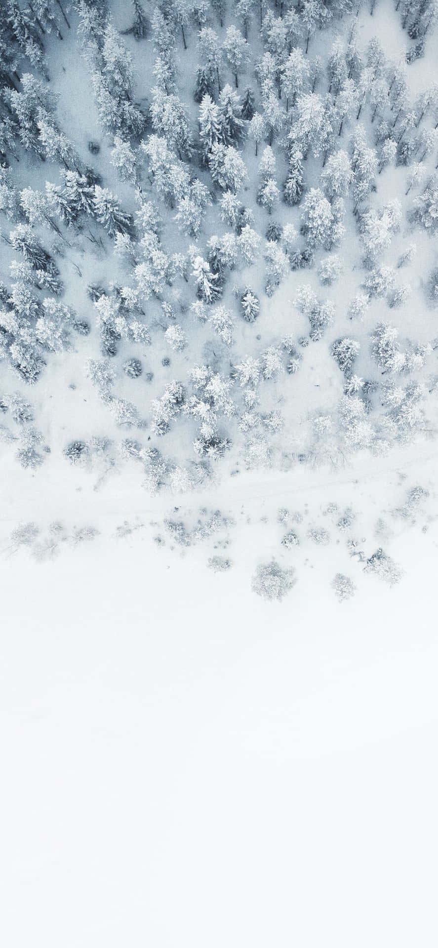 iPhone sort sne skov Tapet Wallpaper