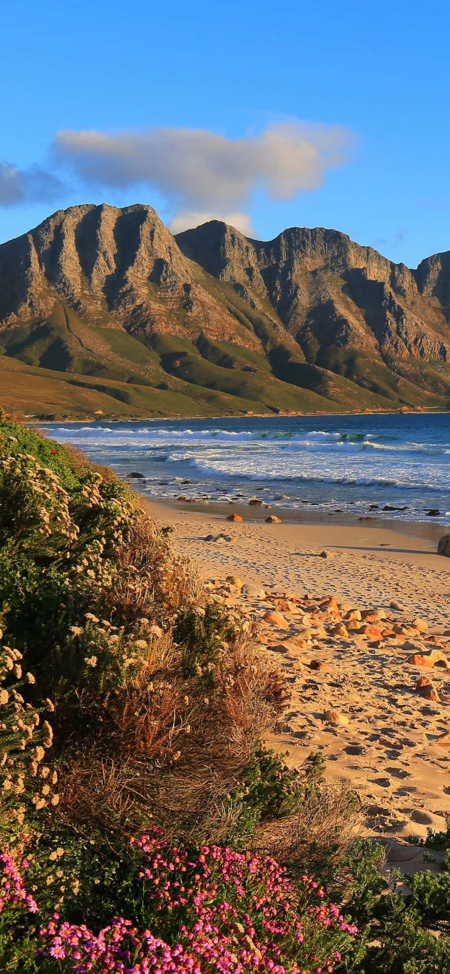 a sandy beach with mountains in the background