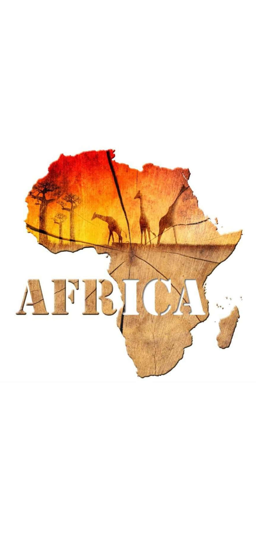 Afrikanskkarta Med Giraffer Och Zebror.