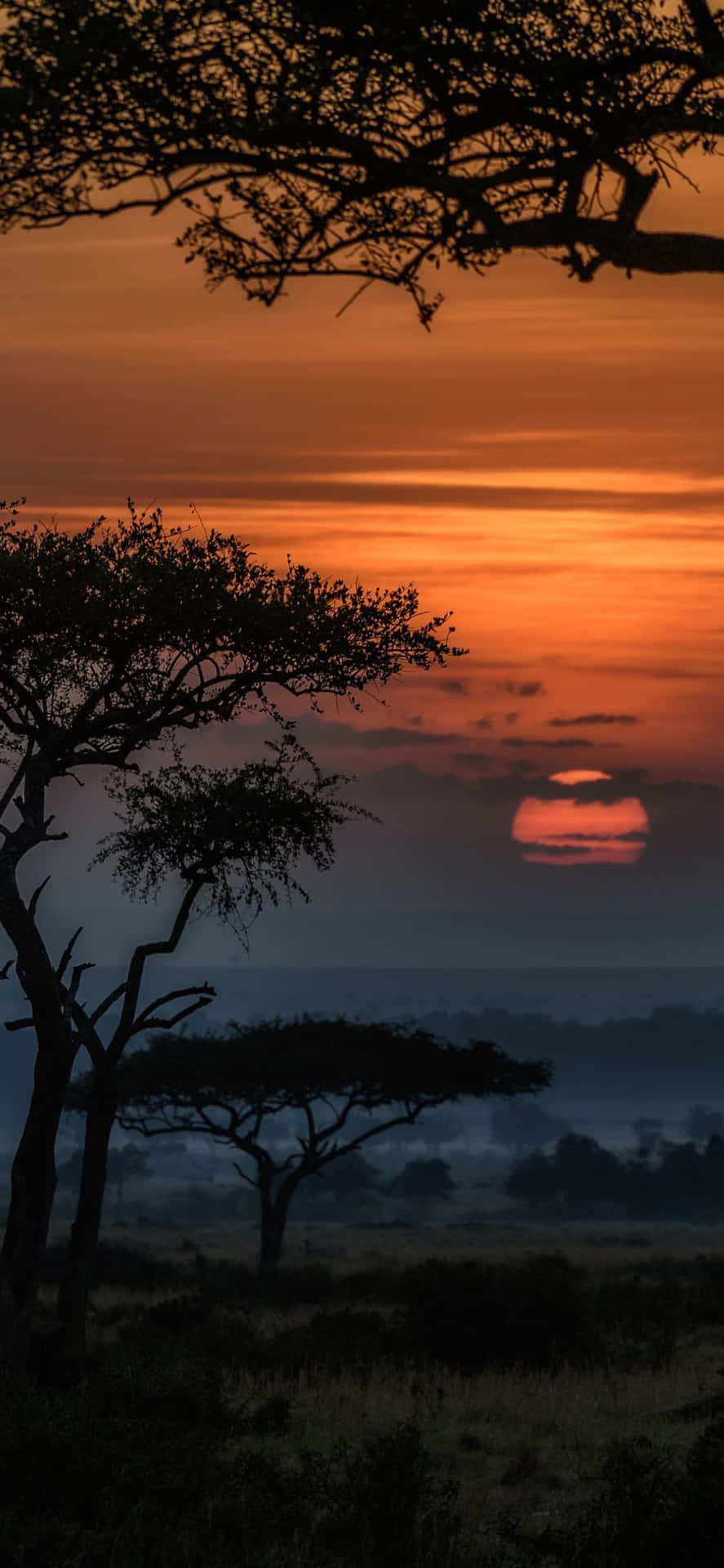 Upptäckden Fängslande Skönheten I Afrika Med Iphone X Som Bakgrundsbild.