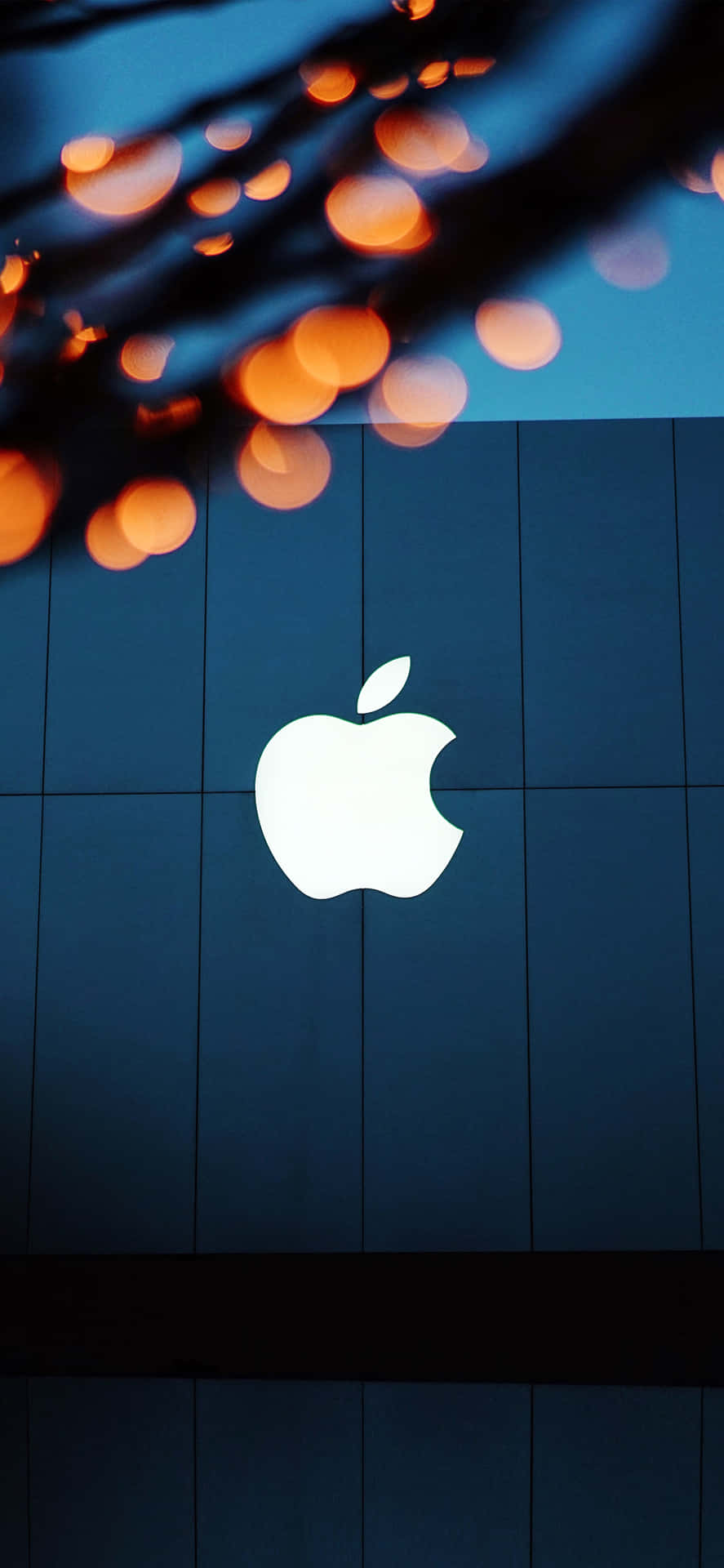 Det Apple Logo oplyst på en iPhone X. Wallpaper