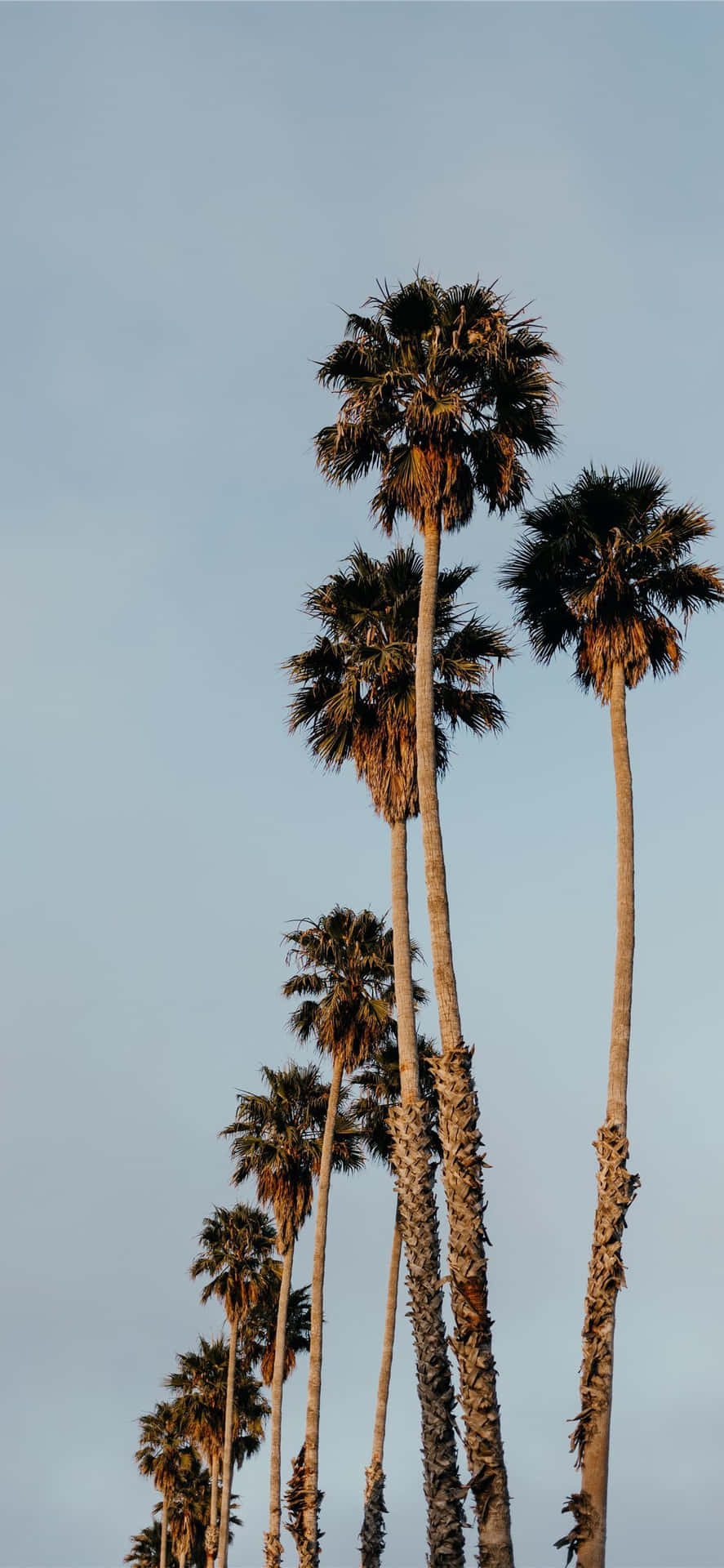 Capture a West Coast Golden Sunset with an Iphone X