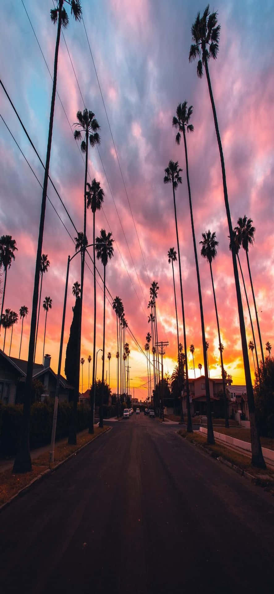 A Street With Palm Trees And A Colorful Sunset