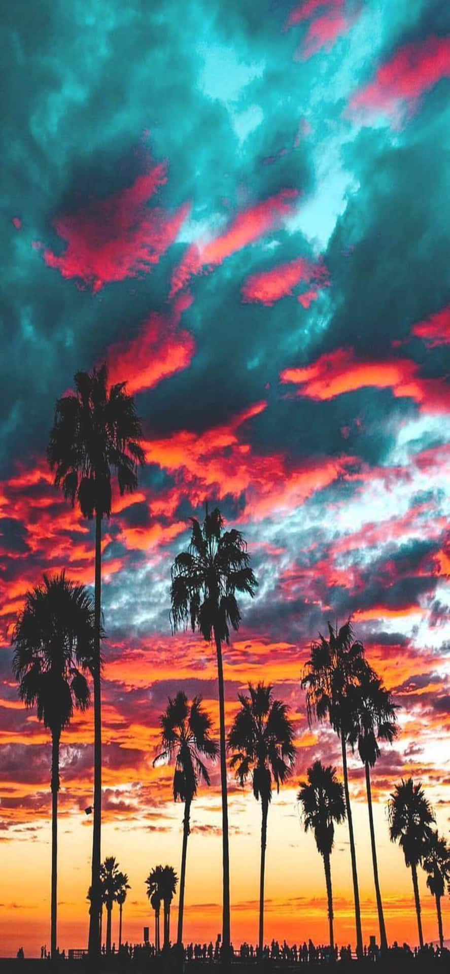 Download Iphone X California Background 1125 X 2436 | Wallpapers.com