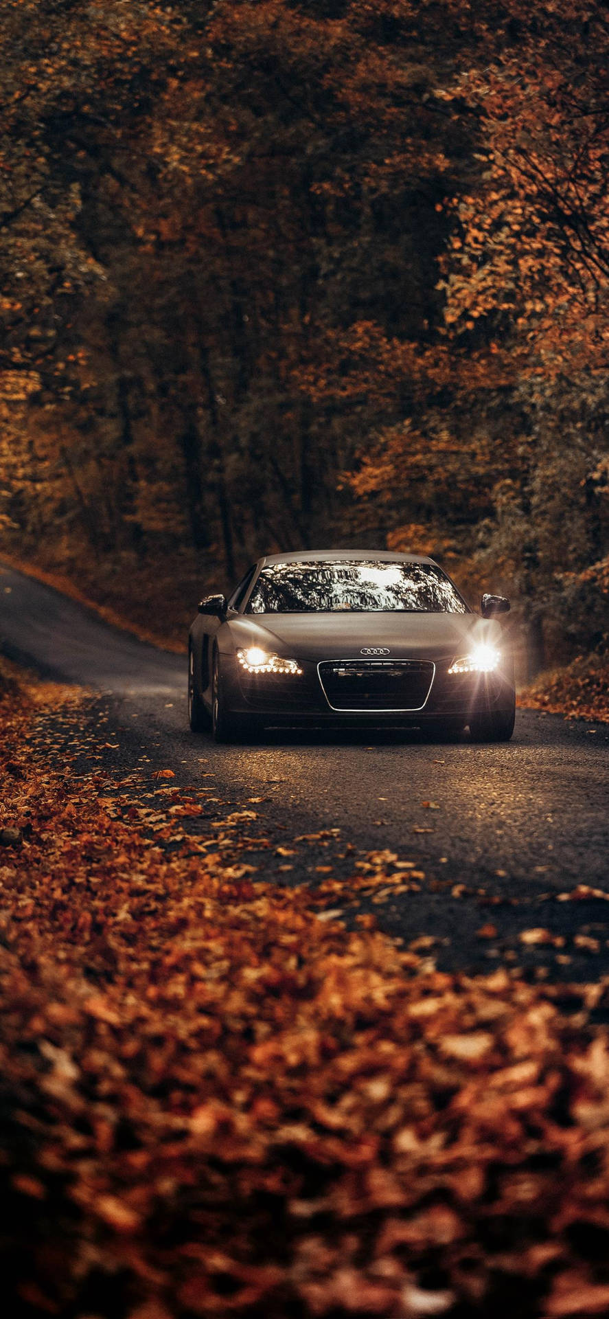 iPhone X Car Audi R8 Autumn Wallpaper