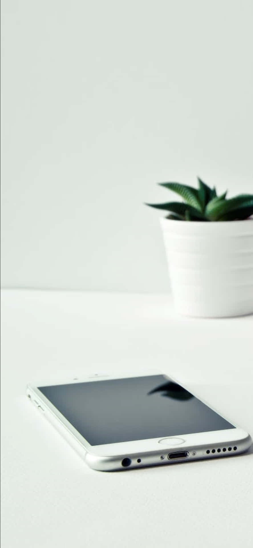 Iphone X Desk Background White Phone And A Plant