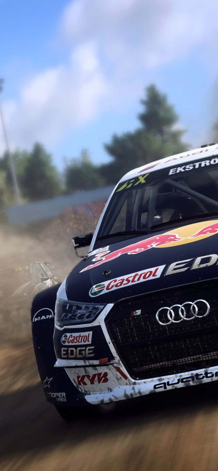 Race and drift through the dirt in Iphone X Dirt Rally