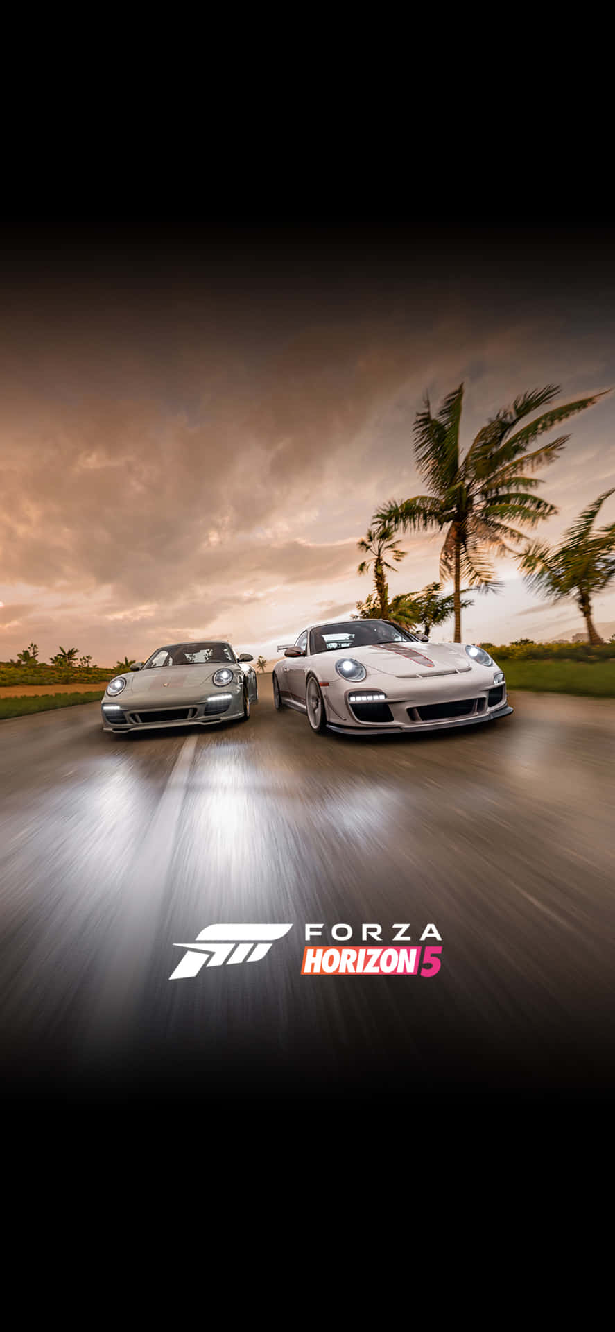 Ravensburgerporsche Iphone X Hintergrundbild Für Forza Motorsport 7.
