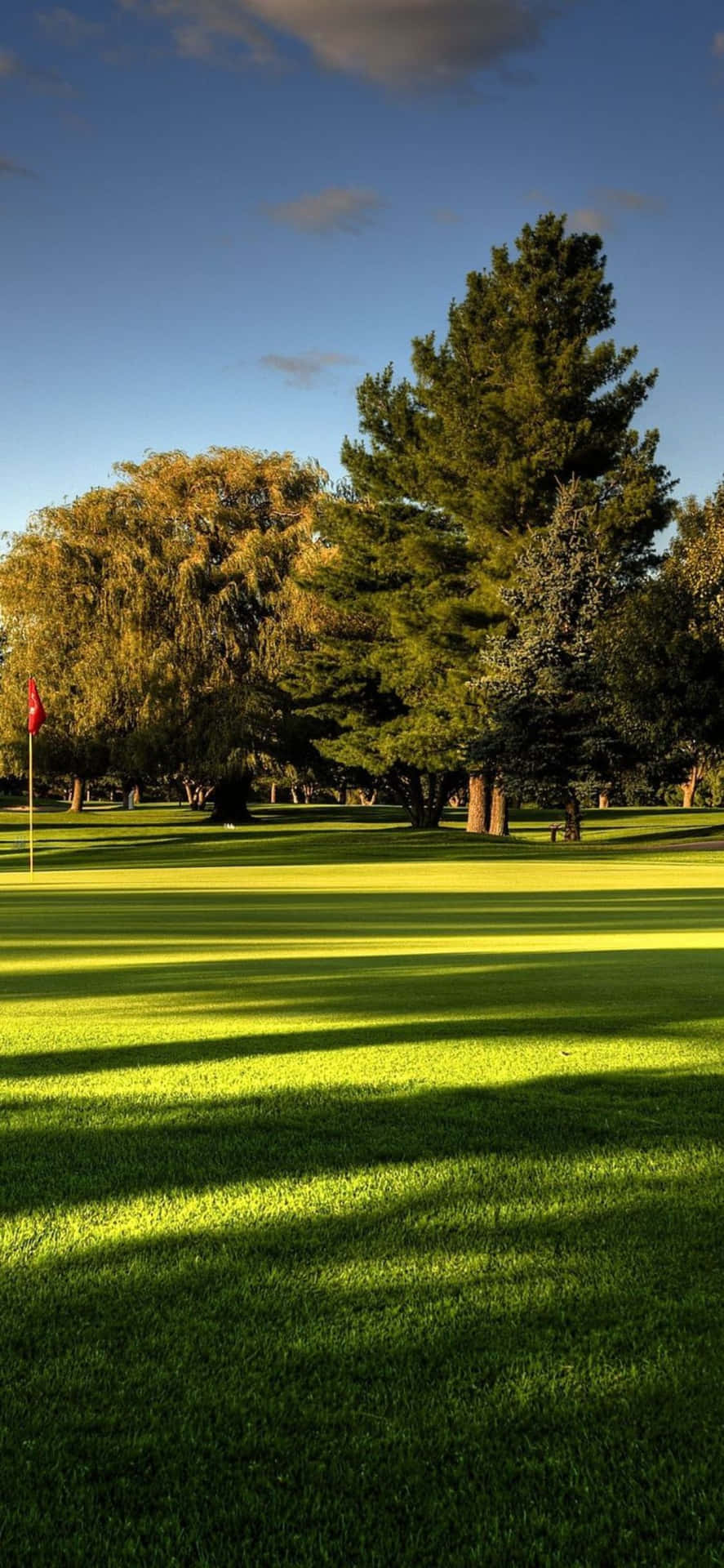 Enjoy a serene day of golf on this beautiful forested golf course