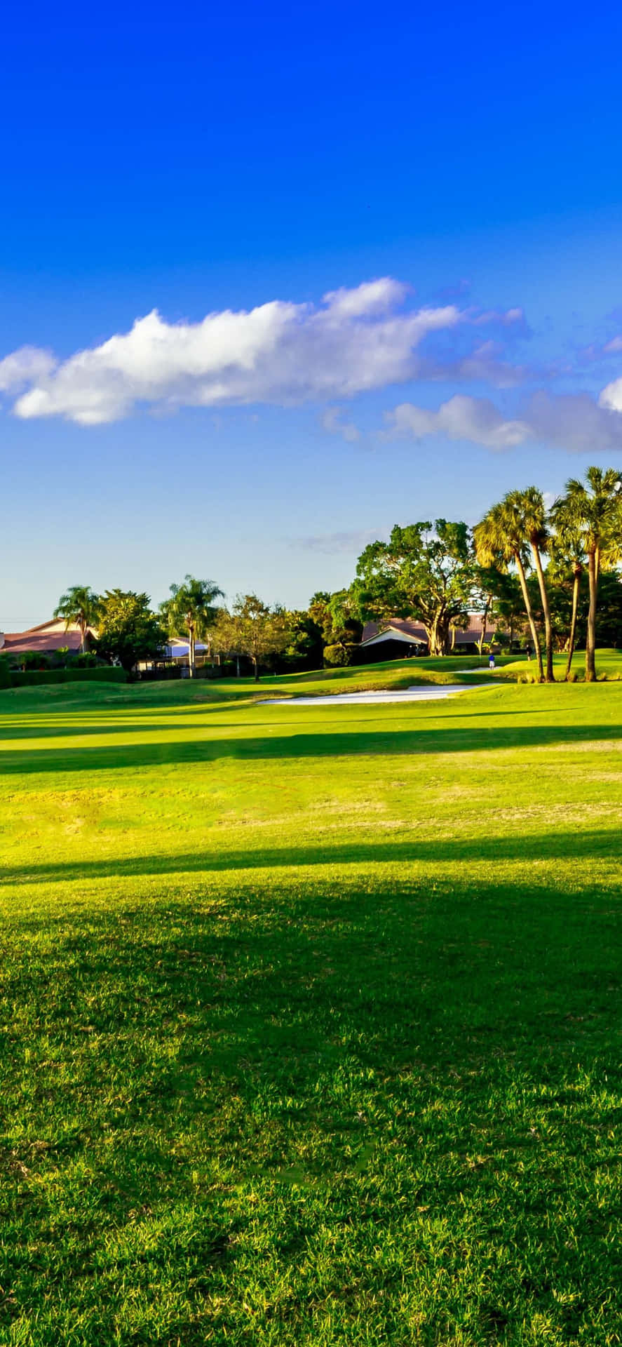 Lưu giữ cảm nhận tuyệt vời tại sân golf trông đẹp như tranh với iPhone X Golf Course Background. Bạn sẽ cảm thấy như mình đang đứng trên sân golf với khung cảnh lộng lẫy và hoàn hảo này. 