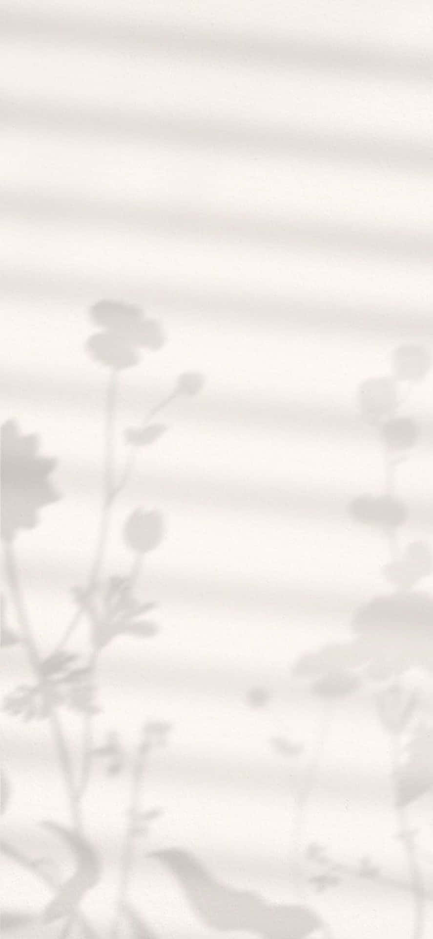 Iphone X Minimal Background Of Flower Shadows Background