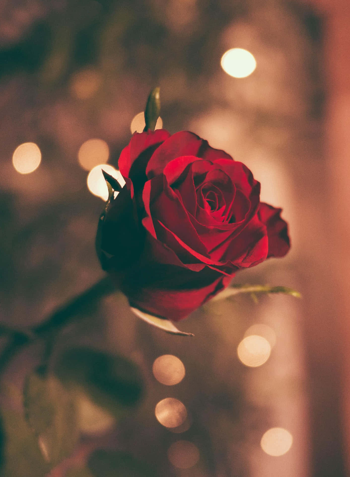 Iphone X Roses Background Vintage Effect Background