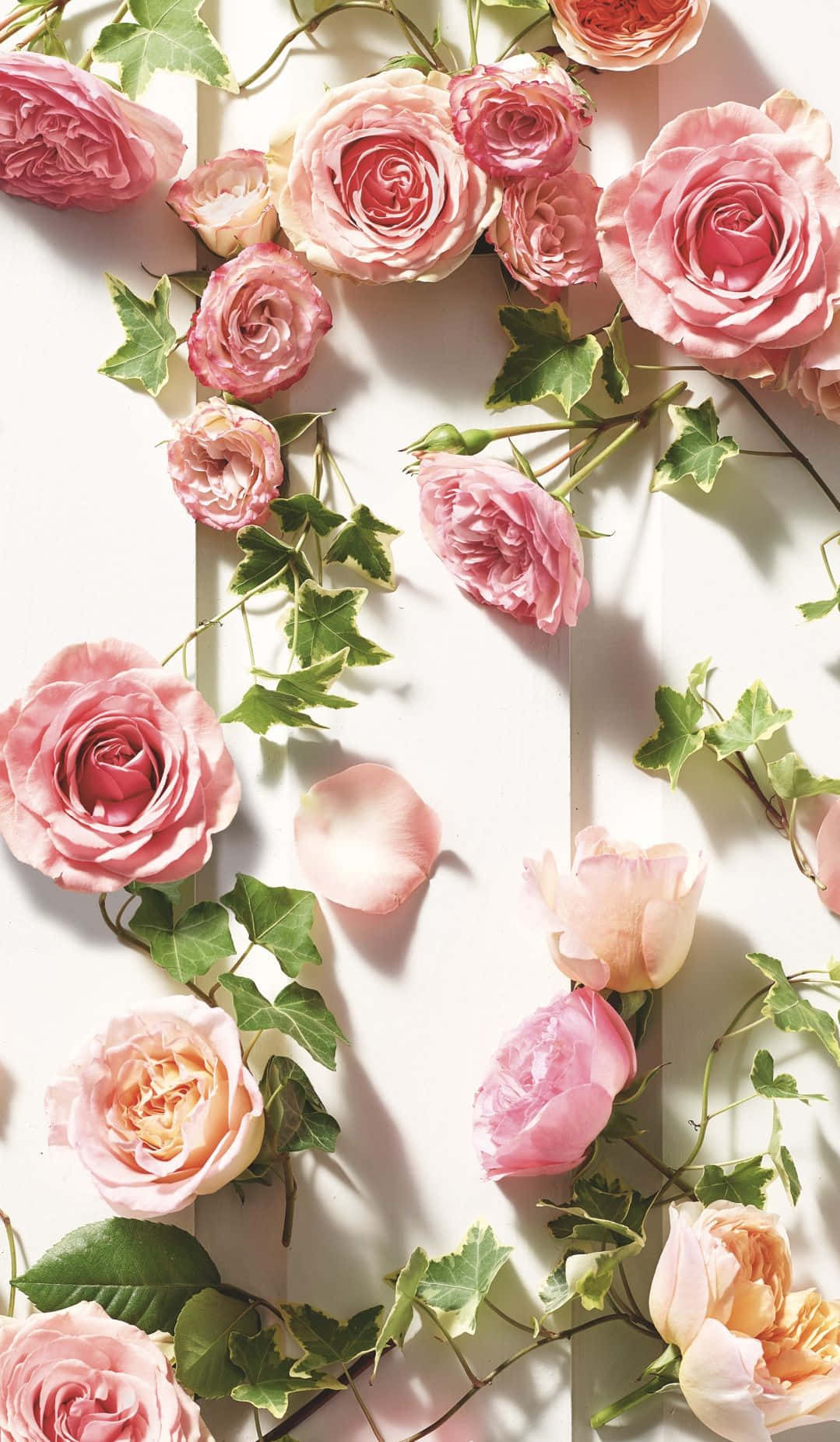 Iphone X Peach And Pink Roses Background