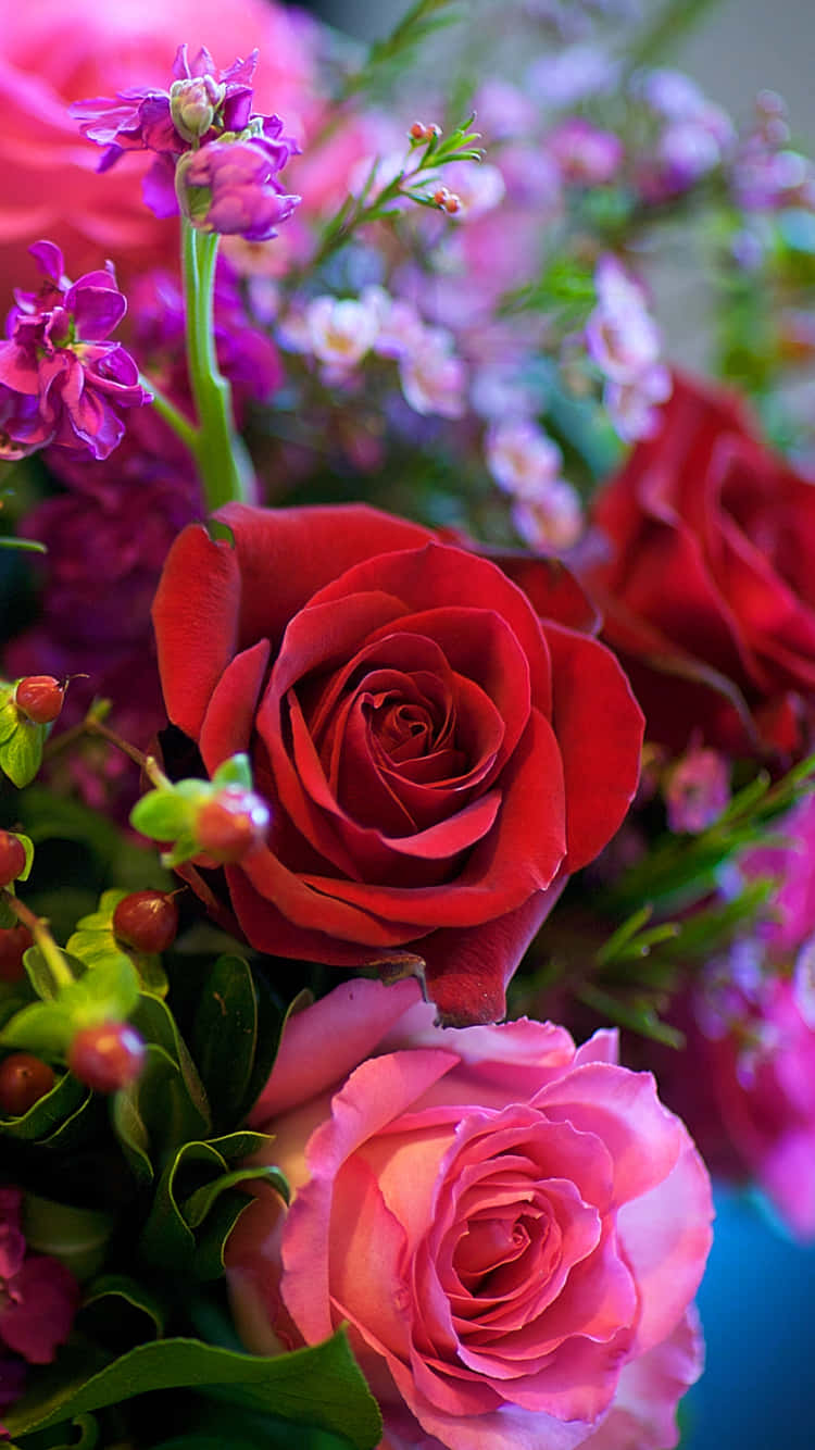 Iphone X Roses Background Bouquet Of Flowers Background