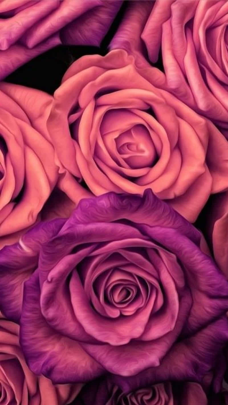 Aesthetic Magenta And Pink Iphone X Roses Background
