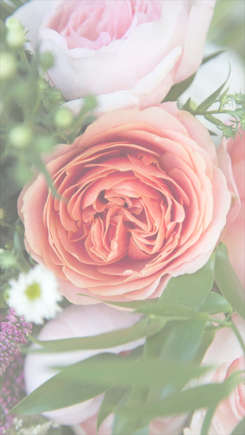 Simple Iphone X Roses Background Bouquet Of Flowers Background