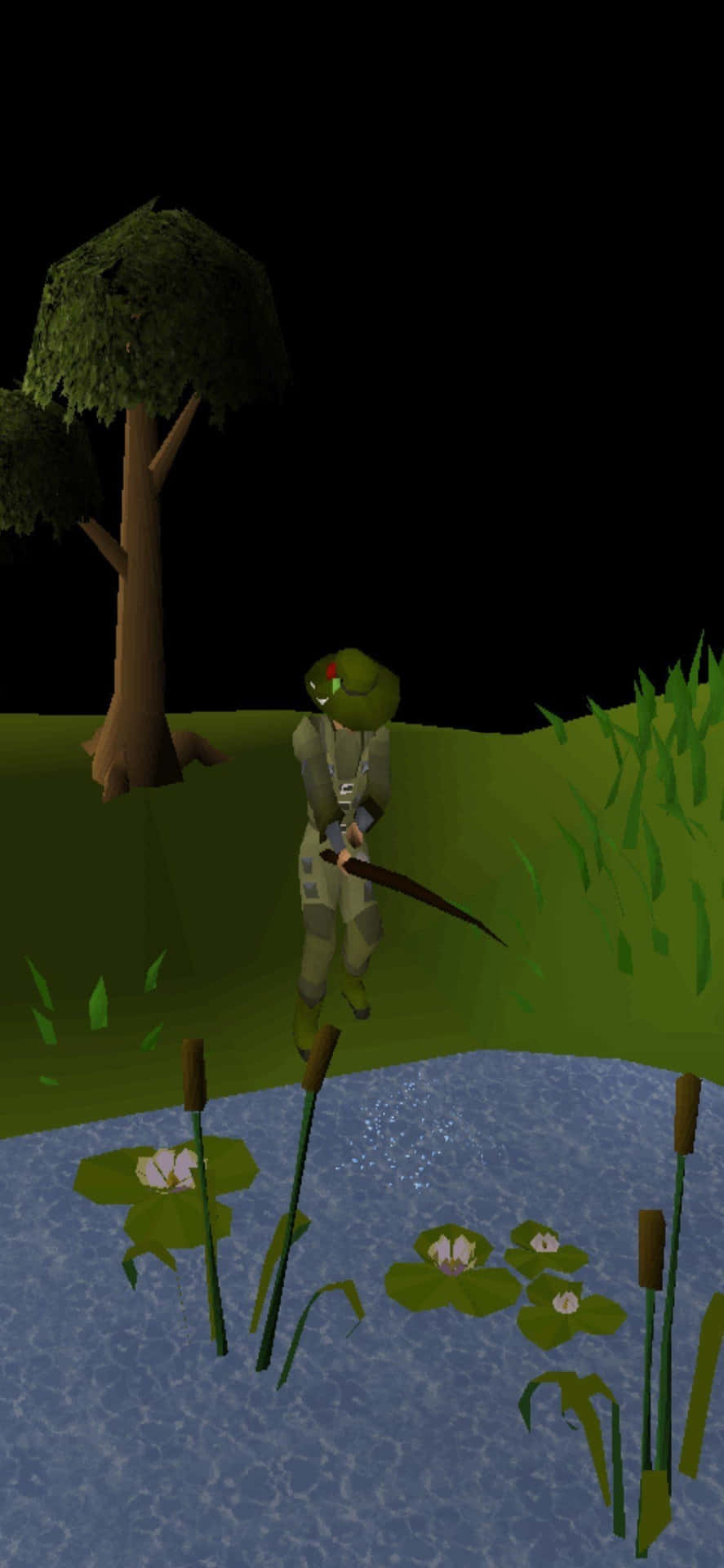 A Man Is Fishing In A Pond