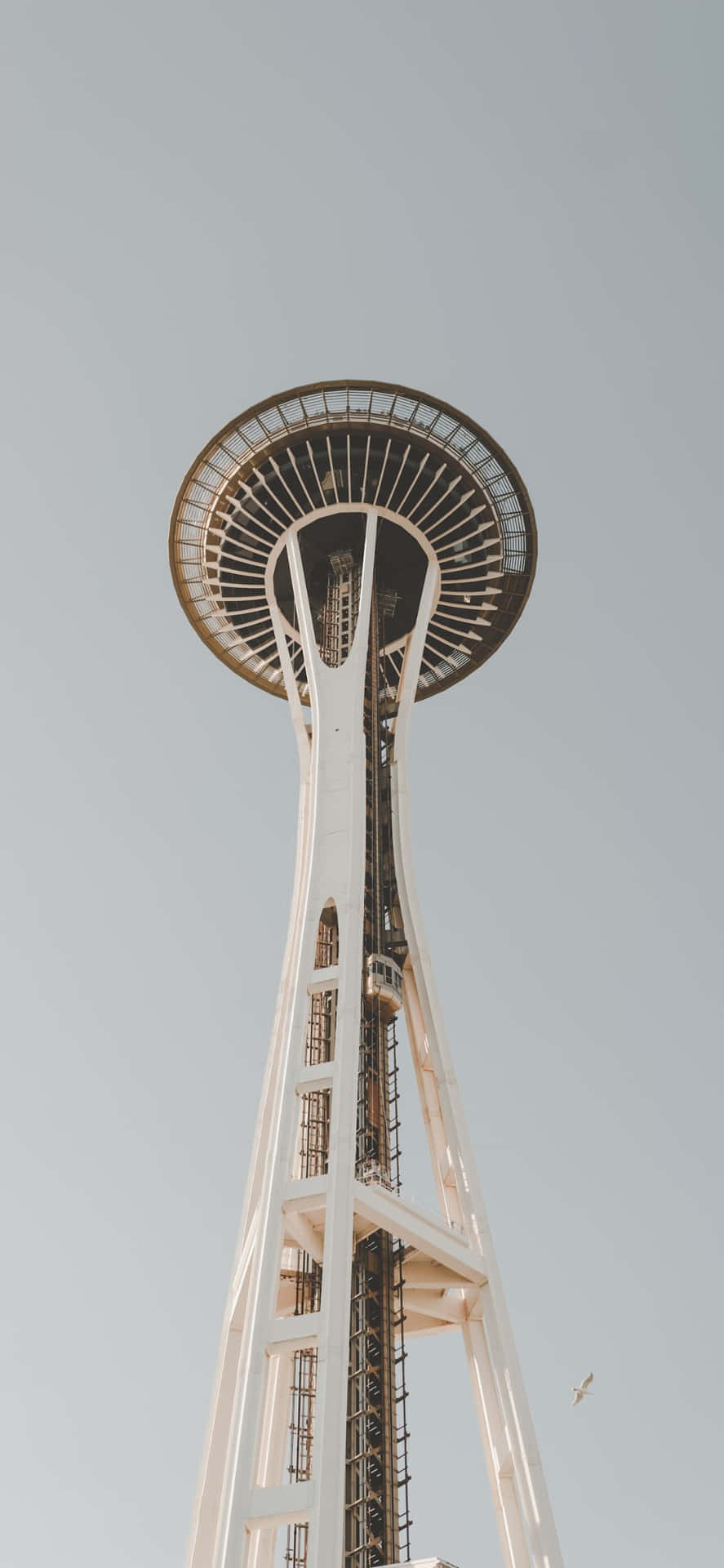 Upplevden Imponerande Seattle-silhuetten Från Perspektivet Av En Iphone X.