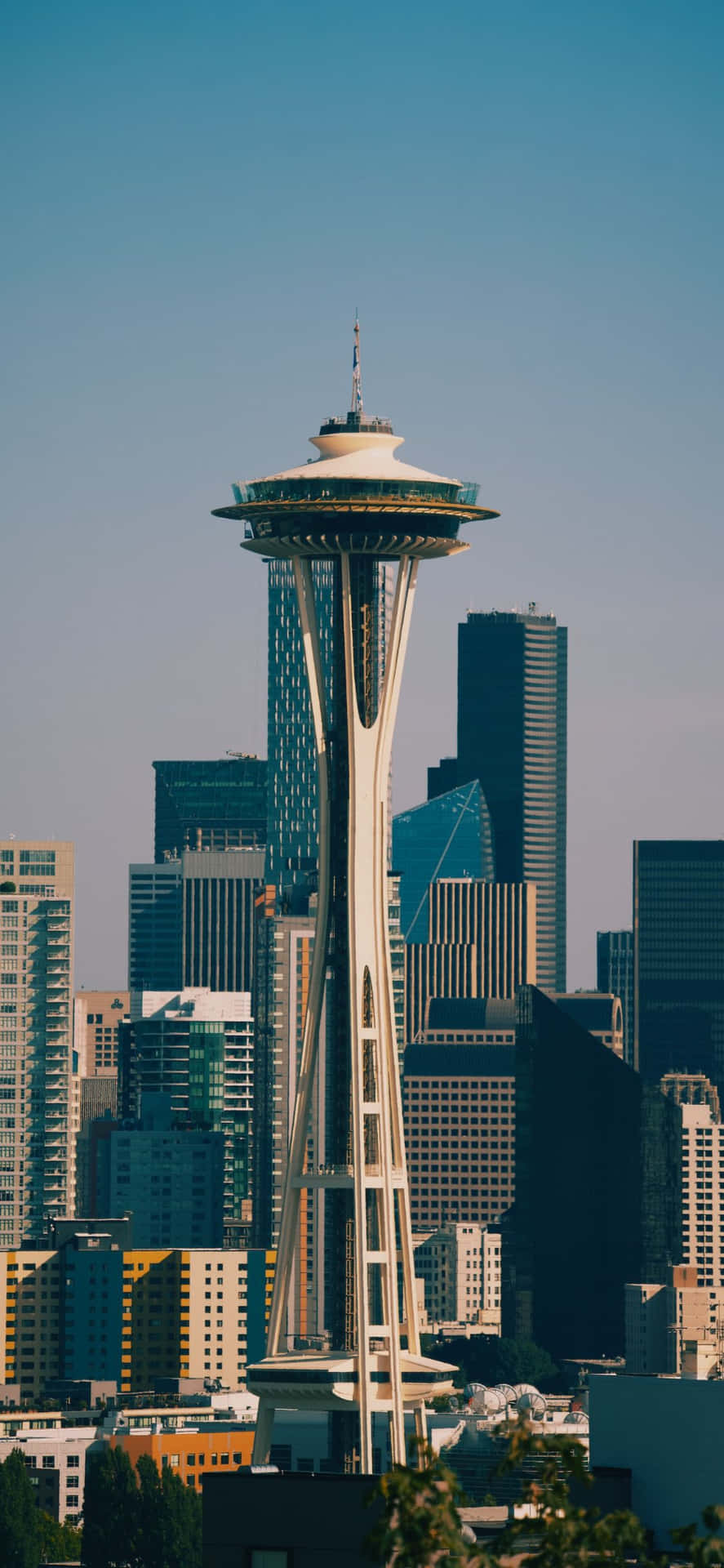 Det smukke Seattle Skyline fra en Iphone X.