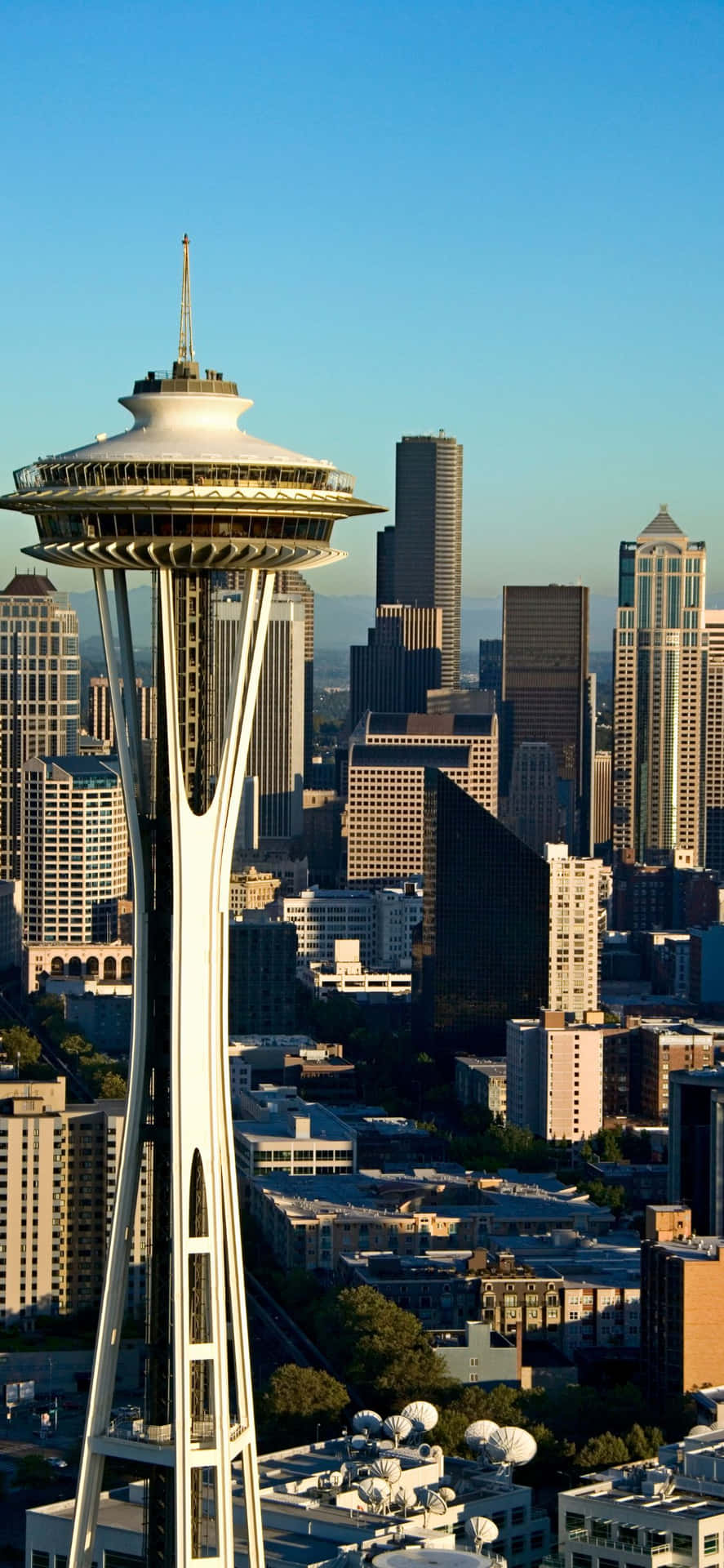 Genießensie Die Skyline Von Seattle Auf Ihrem Iphone X.