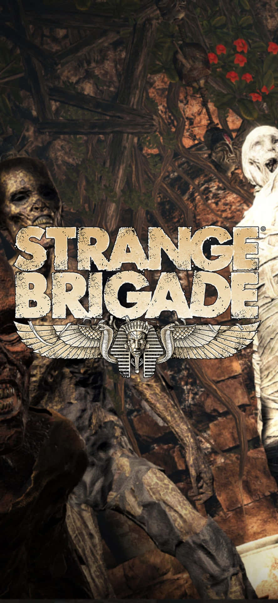 Scary Skeleton Zombies Iphone X Strange Brigade Background