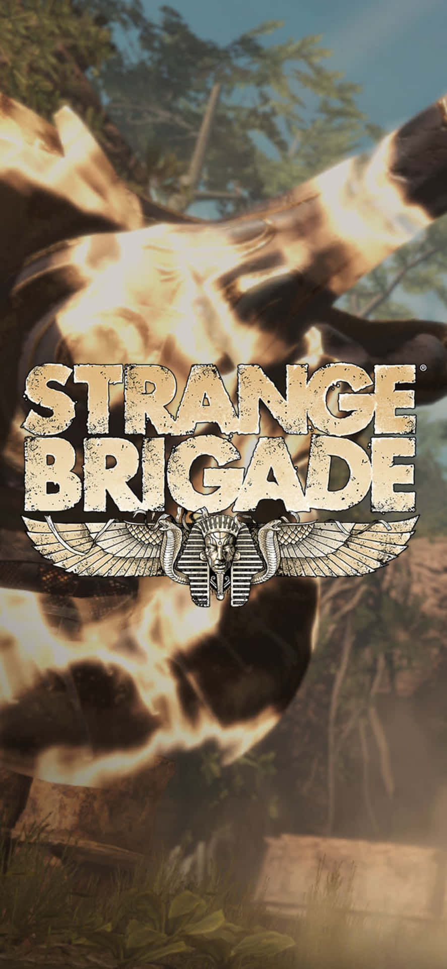 Flaschemit Feuerwaffen Iphone X Strange Brigade Hintergrund