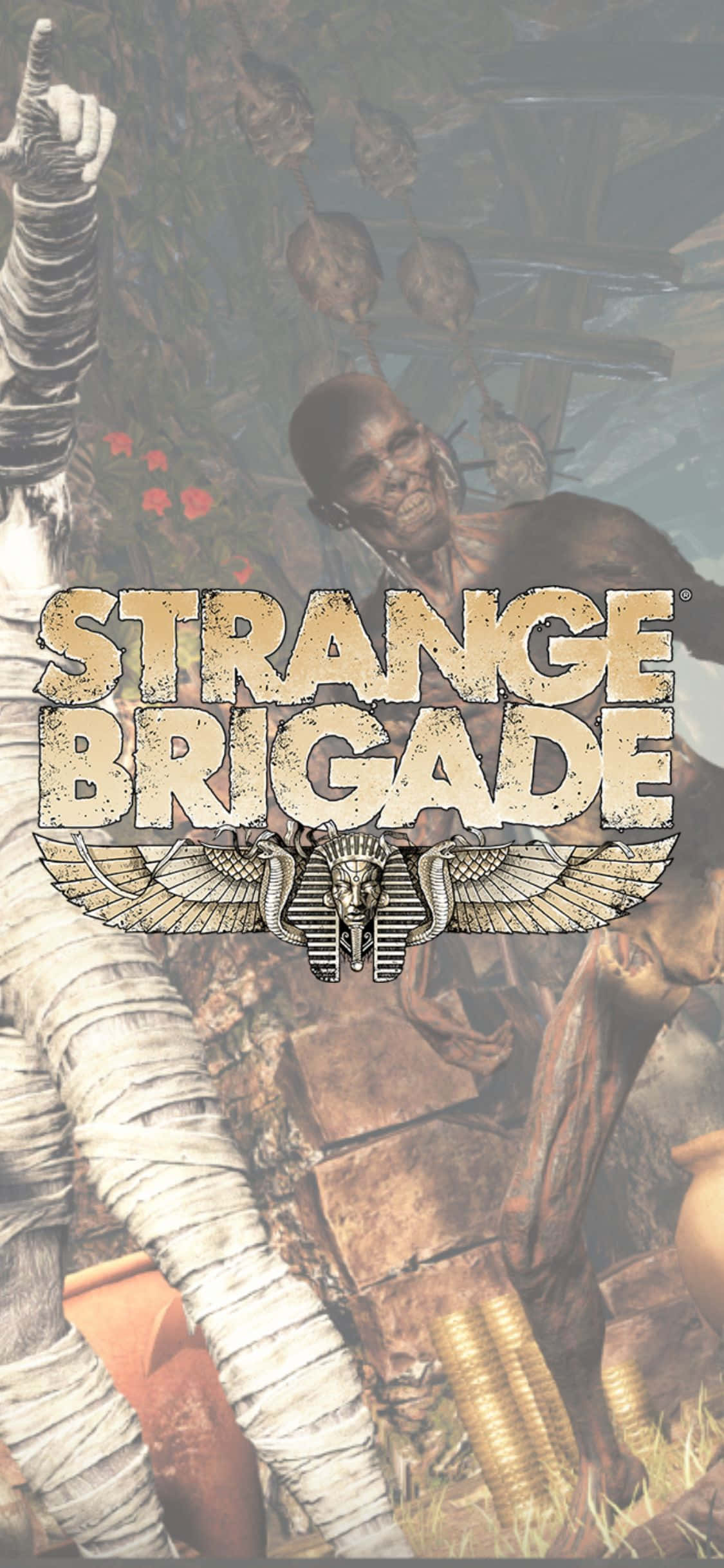 Skeleton And Wrapped Zombies Iphone X Strange Brigade Background