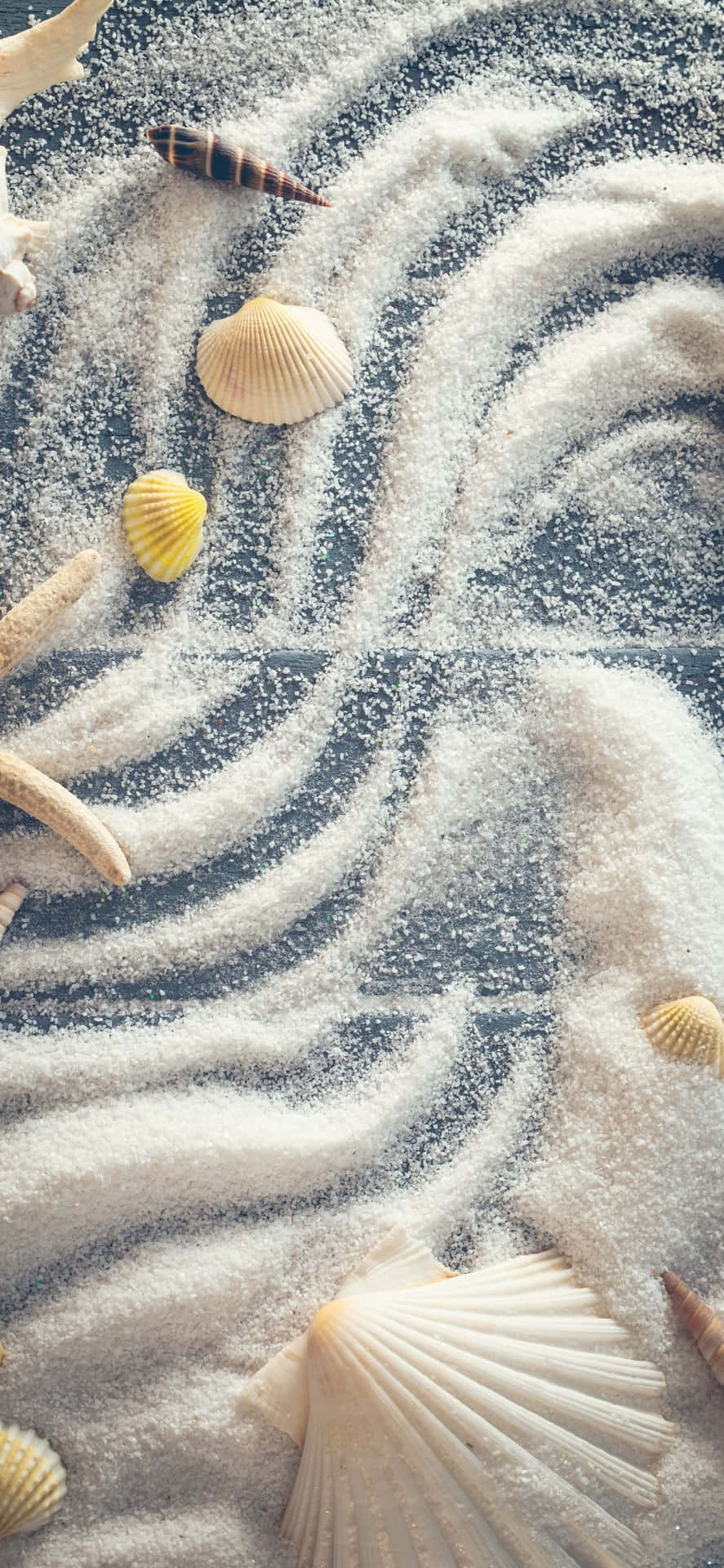 Seashells With White Powder iPhone X Summer Background