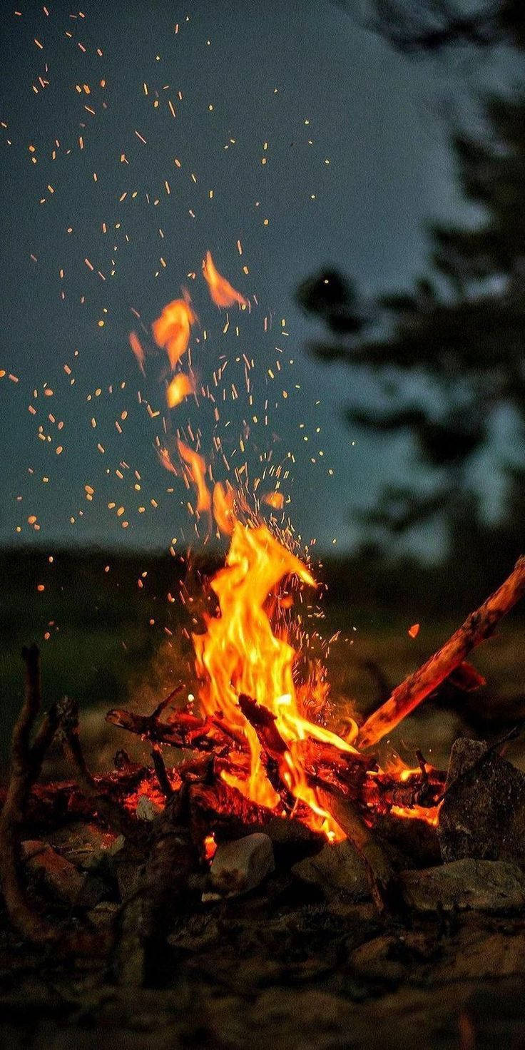 Iphone Xr Forest Campfire Wallpaper