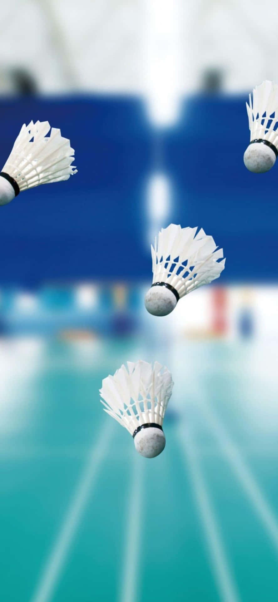Iphone Xs Badminton Background 1125 X 2436