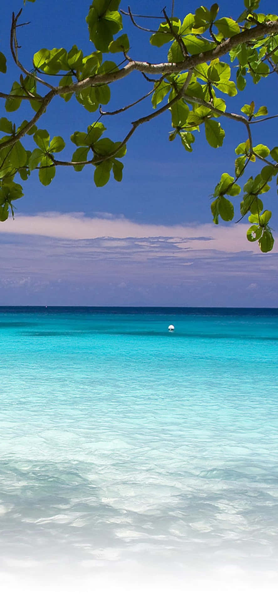 Iphonexs Hintergrund Mit Azurblauem Wasser Und Strand