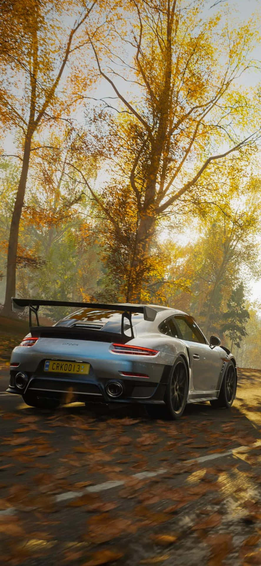 Conquer the Race Tracks with Iphone Xs&Forza Horizon 4