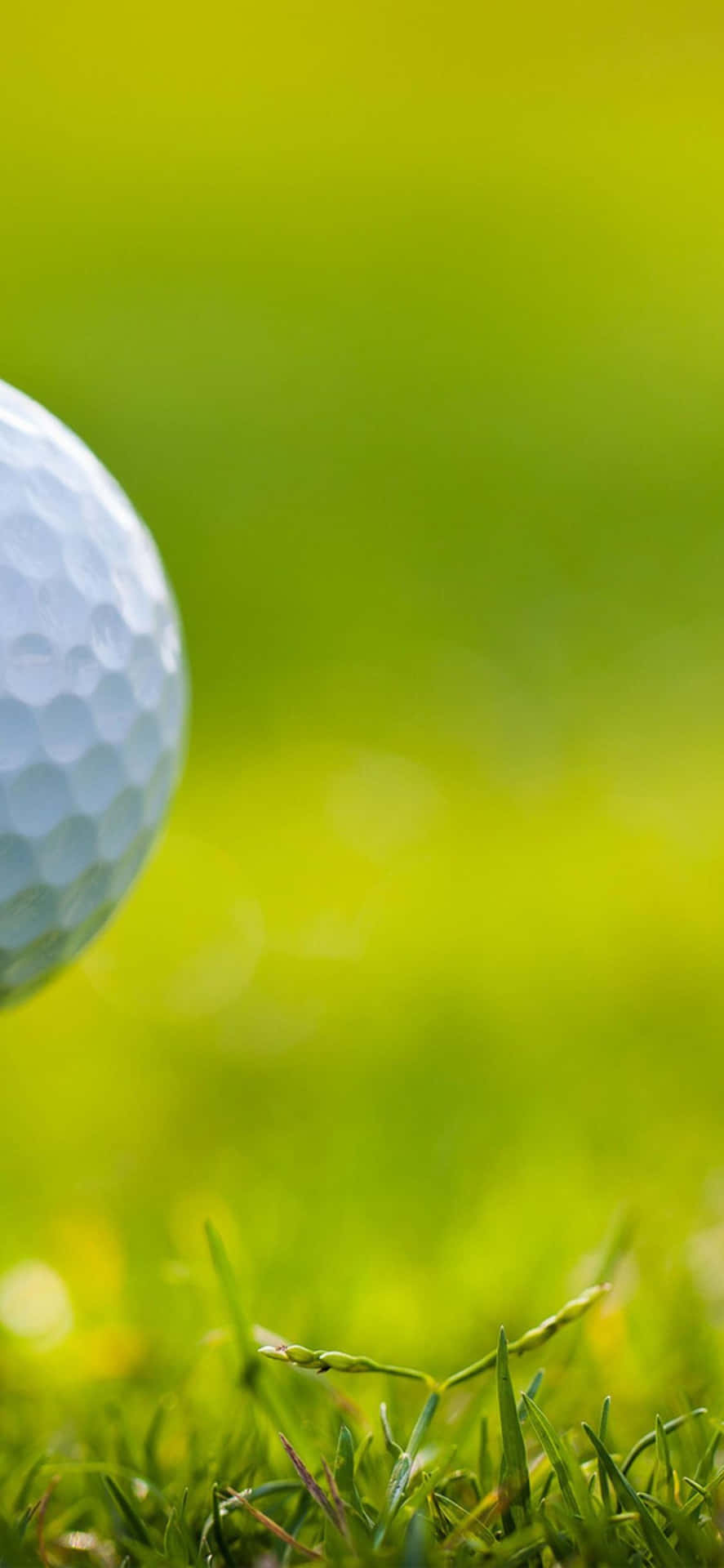 Iphone Xs Golf Background Left Glimpse Of Ball Background