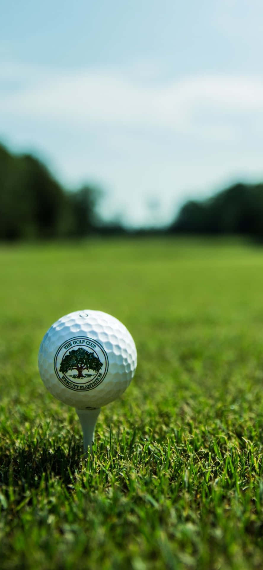 Iphone Xs Golf Background Freeway Golf Course Background