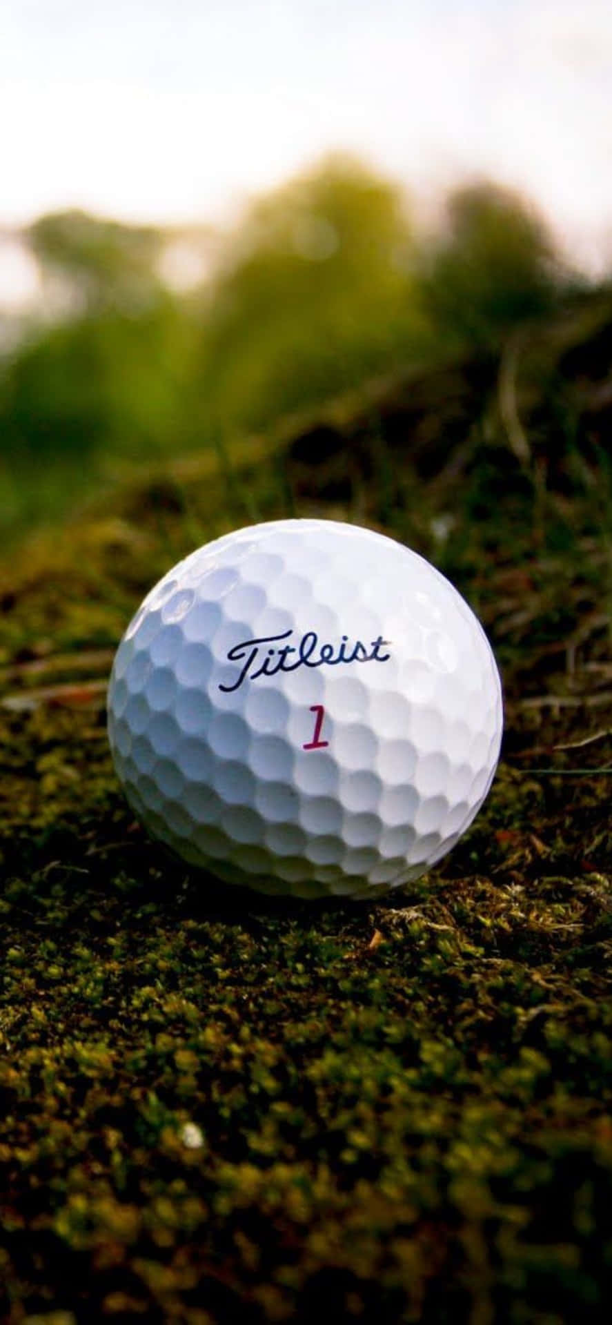 Iphone Xs Golf Background Golf Ball On Sand Background