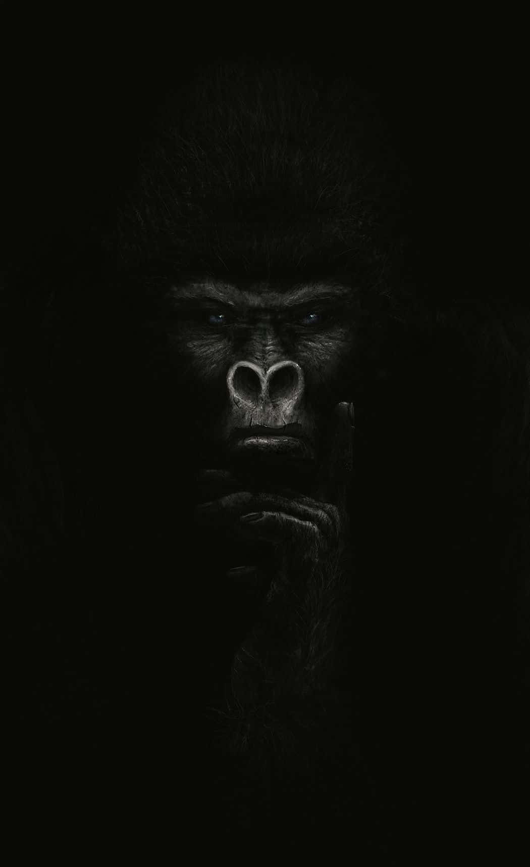 Baggrund til Iphone Xs Gorilla sort og hvid foto