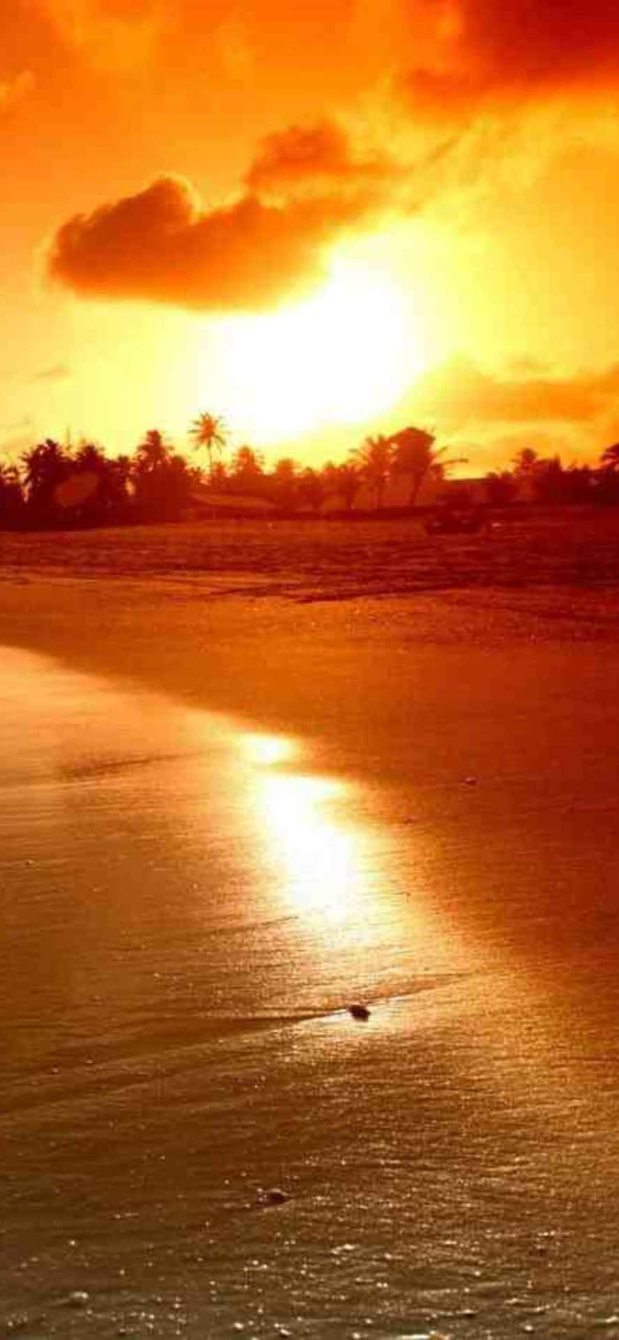 Fåen Fantastisk Strandutsikt Varje Gång Du Tittar På Din Iphone Xs Med Denna Tapet Av Malibu, Kalifornien!