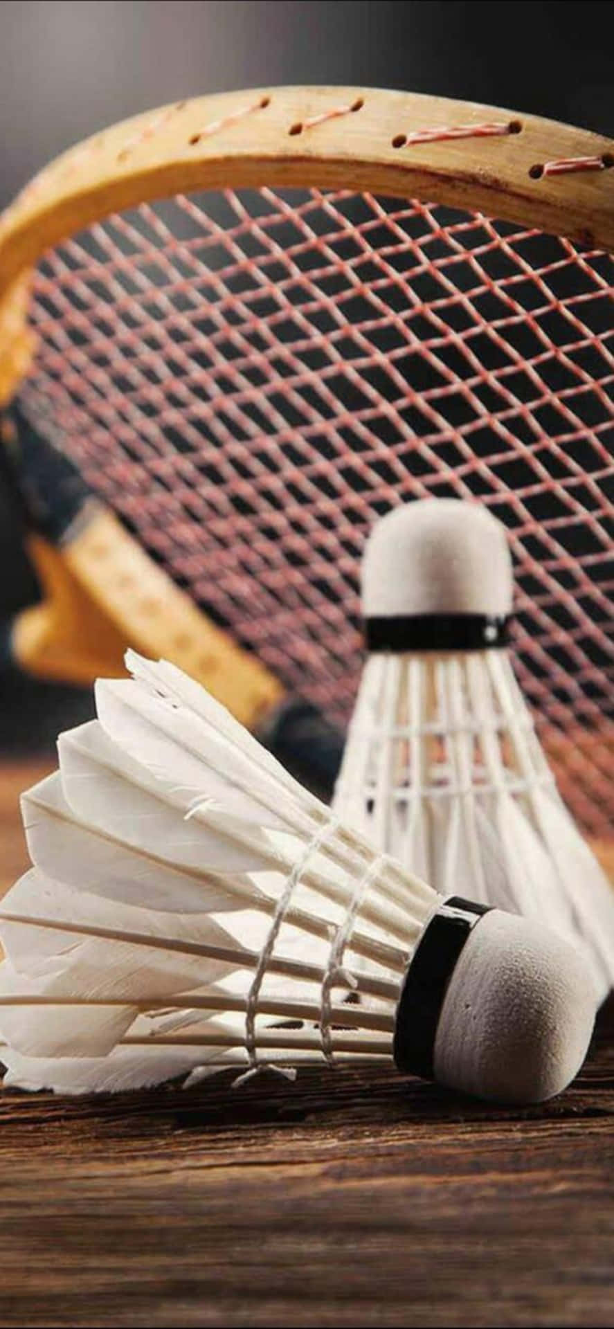 A Focus on Excellence: iPhone Xs Max and Badminton