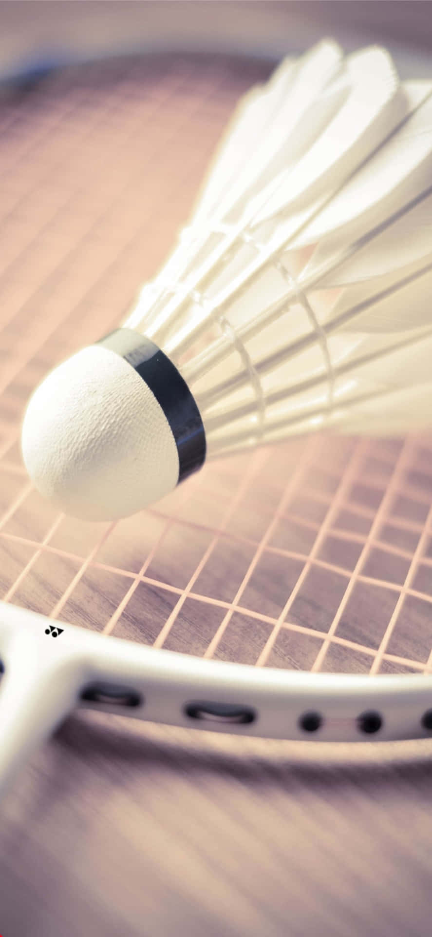 Bildnjut Av Spelet Badminton På Din Iphone Xs Max.
