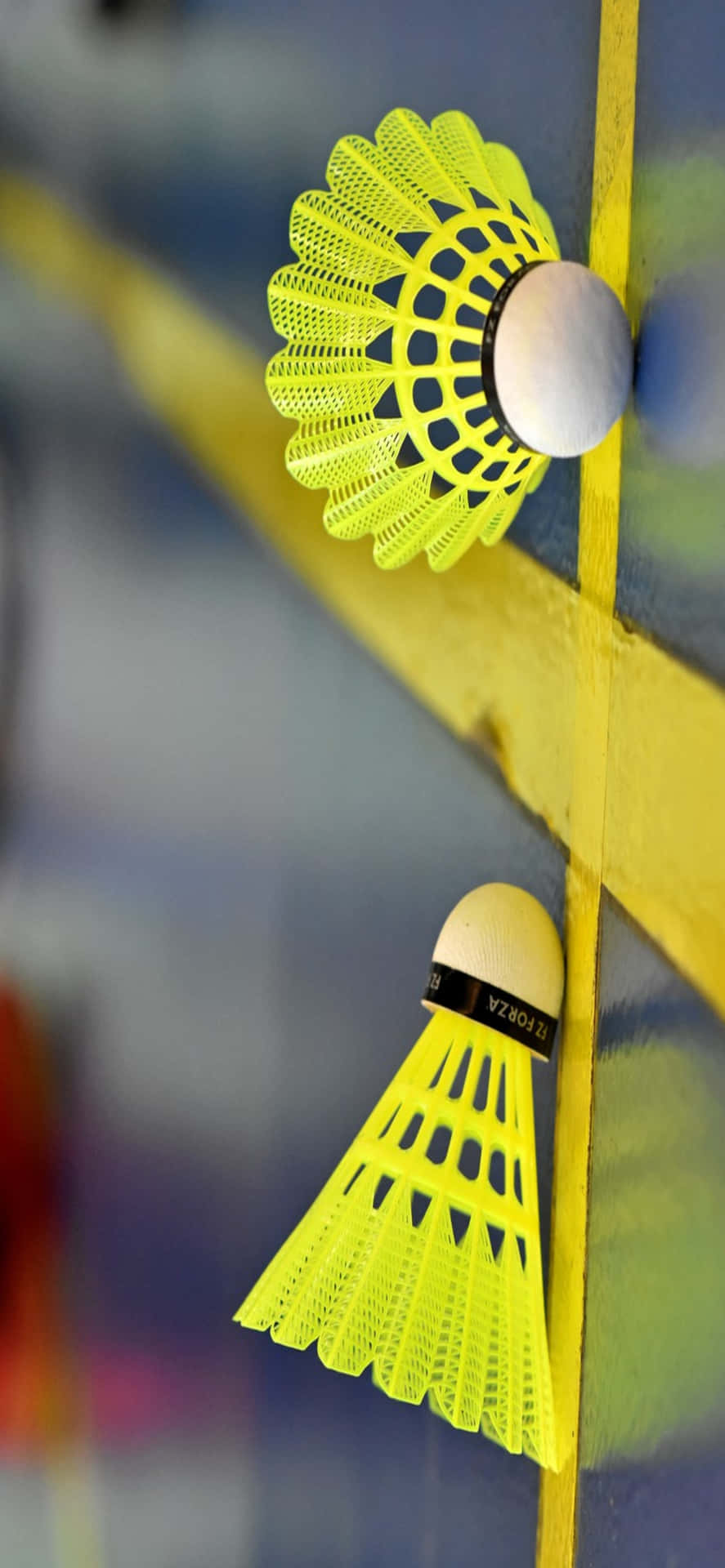 Festeggiamentidopo Una Partita Di Badminton Mozzafiato