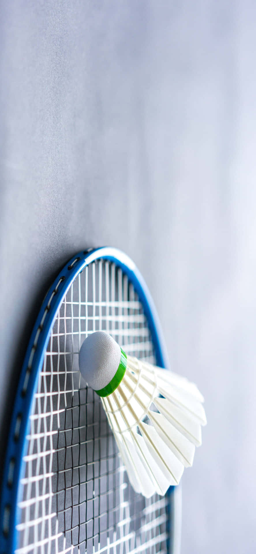 Badminton Shuttlecock On A Racket