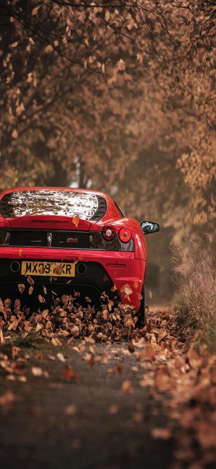 Iphonexs Max Ferrari Hintergrund Rotes Ferrari F430 Getrocknete Blätter