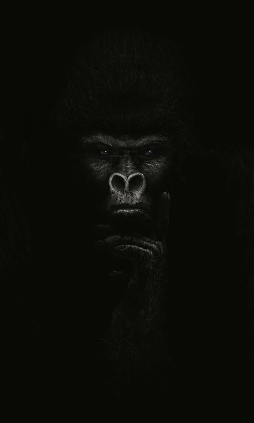 iPhone Xs Max Gorilla Background In Shadow