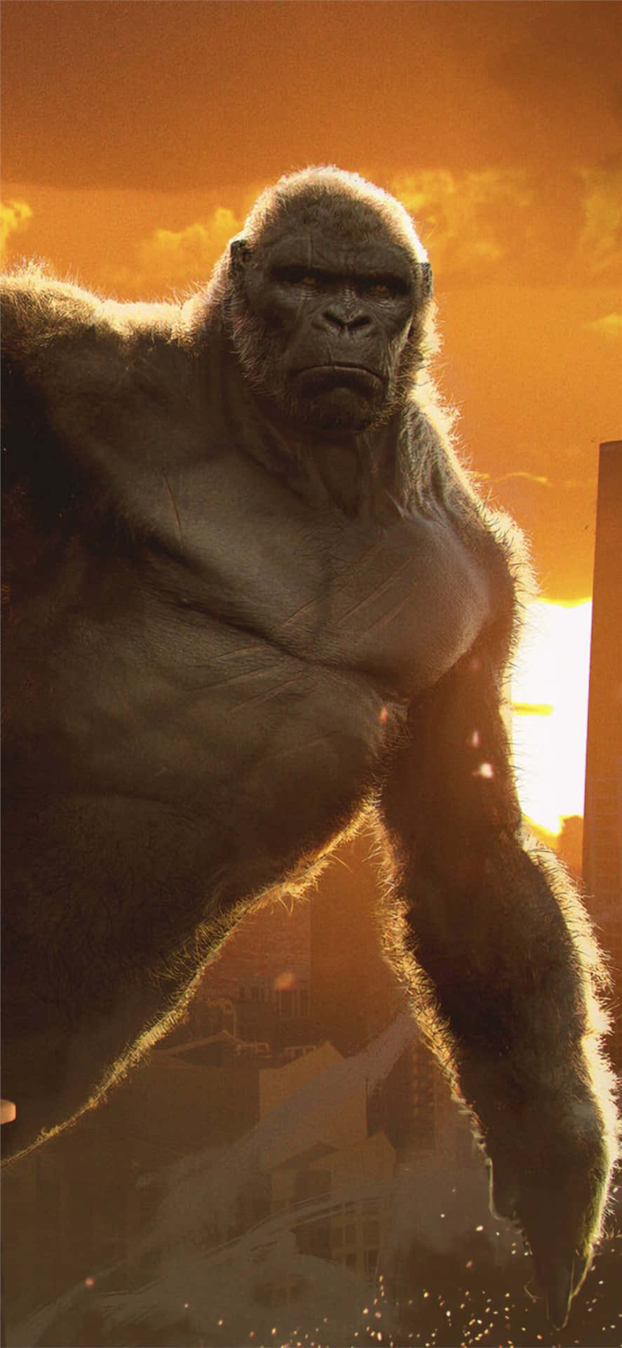 Fondode Pantalla De Gorilla Para Iphone Xs Max Con La Película King Kong.