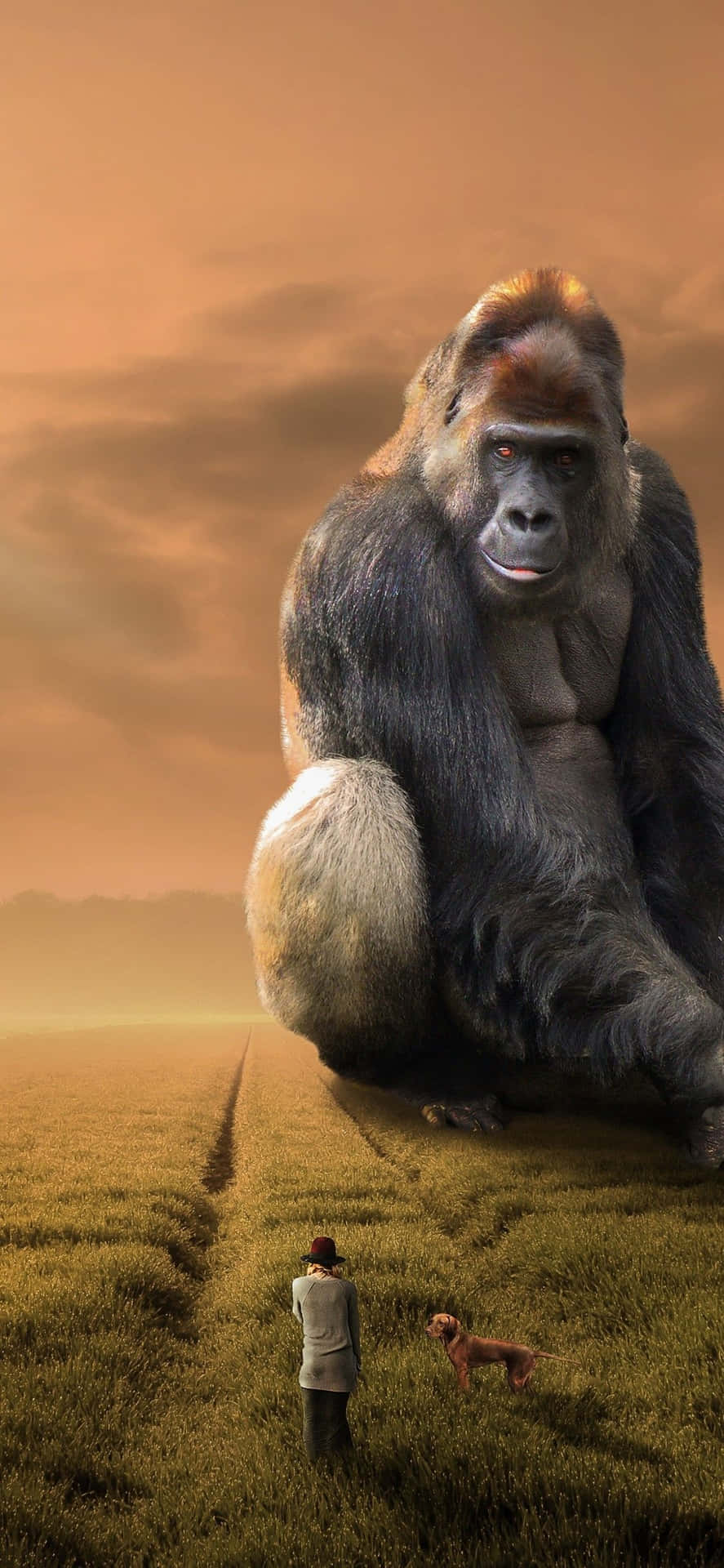 Iphonexs Max Gorilla-bakgrund Gigantisk Primat
