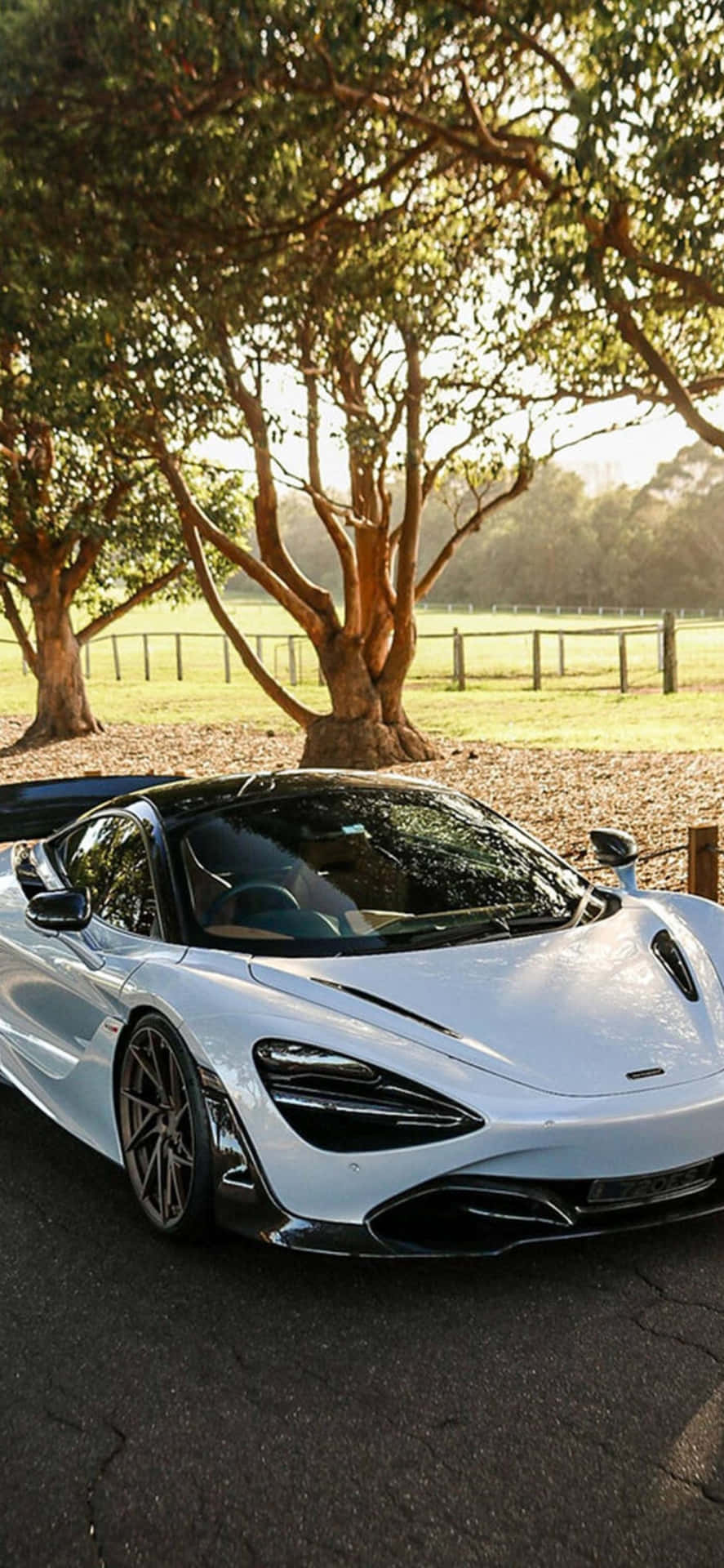 The sleek, modern iPhone Xs Max stands out next to the classic, powerful McLaren 720s
