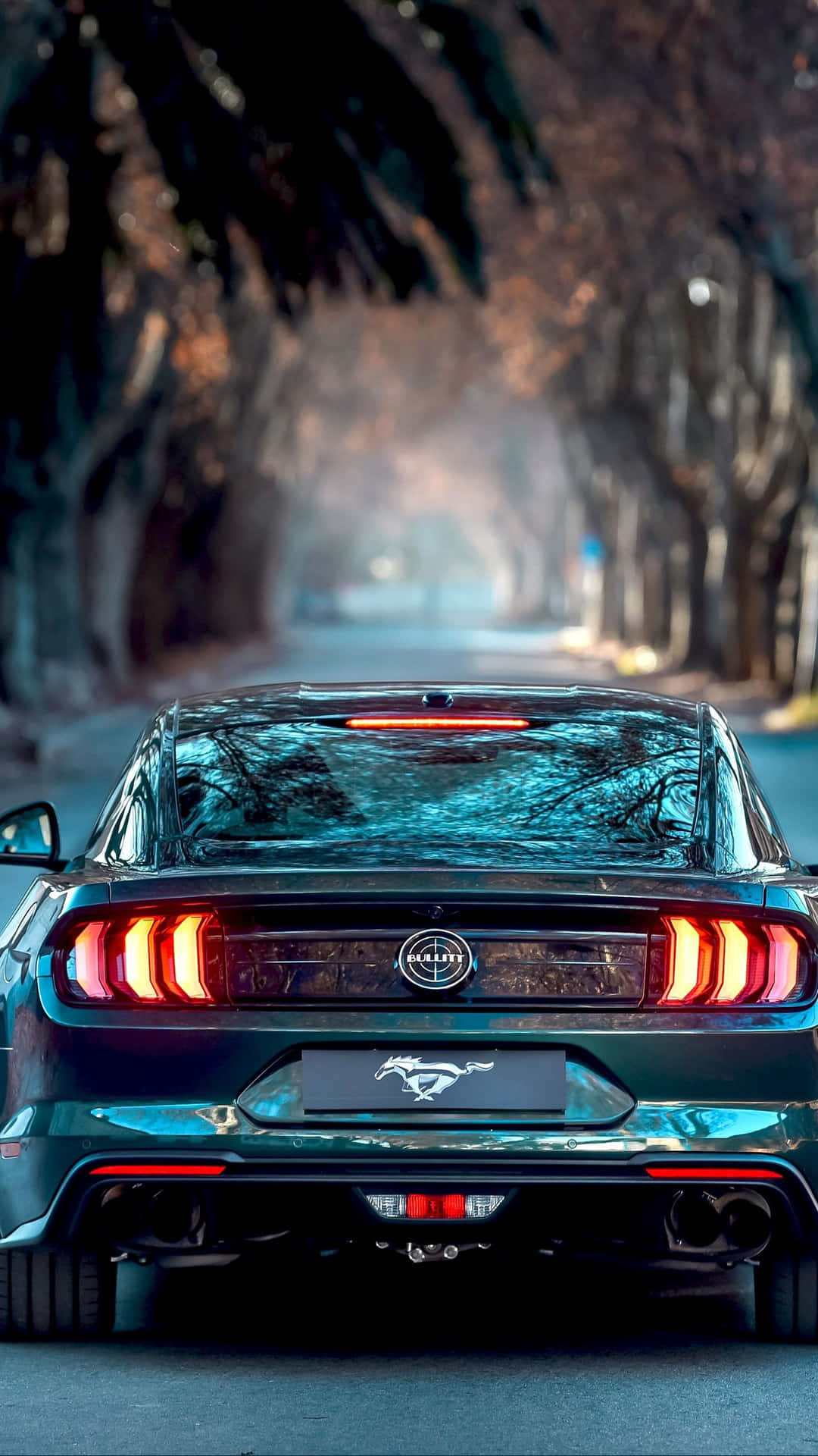 Iphonexs Max Project Cars 2 Mörkgrön 2019 Ford Mustang Bullitt Bakgrund