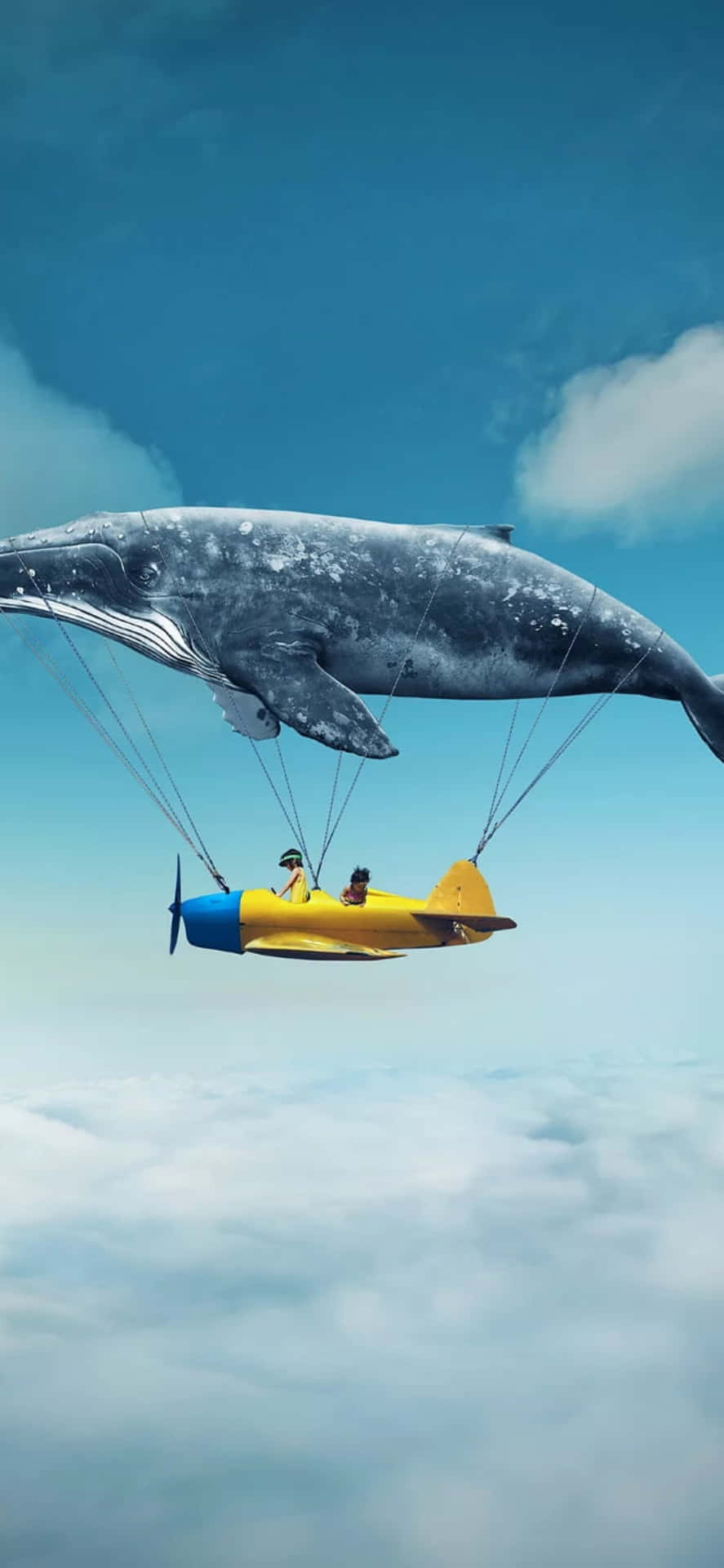 A Whale Is Flying In The Sky With A Man In A Plane