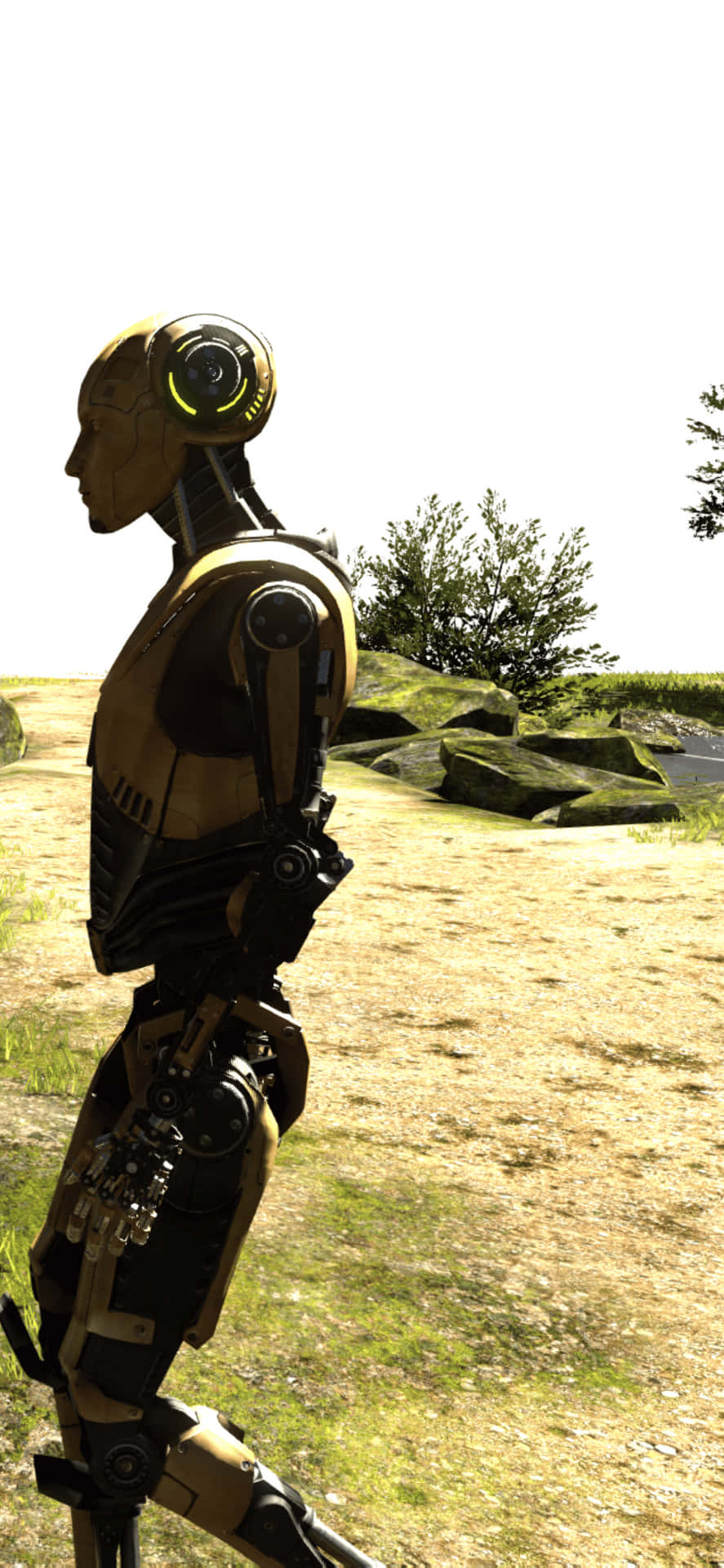 a robot is walking in a field