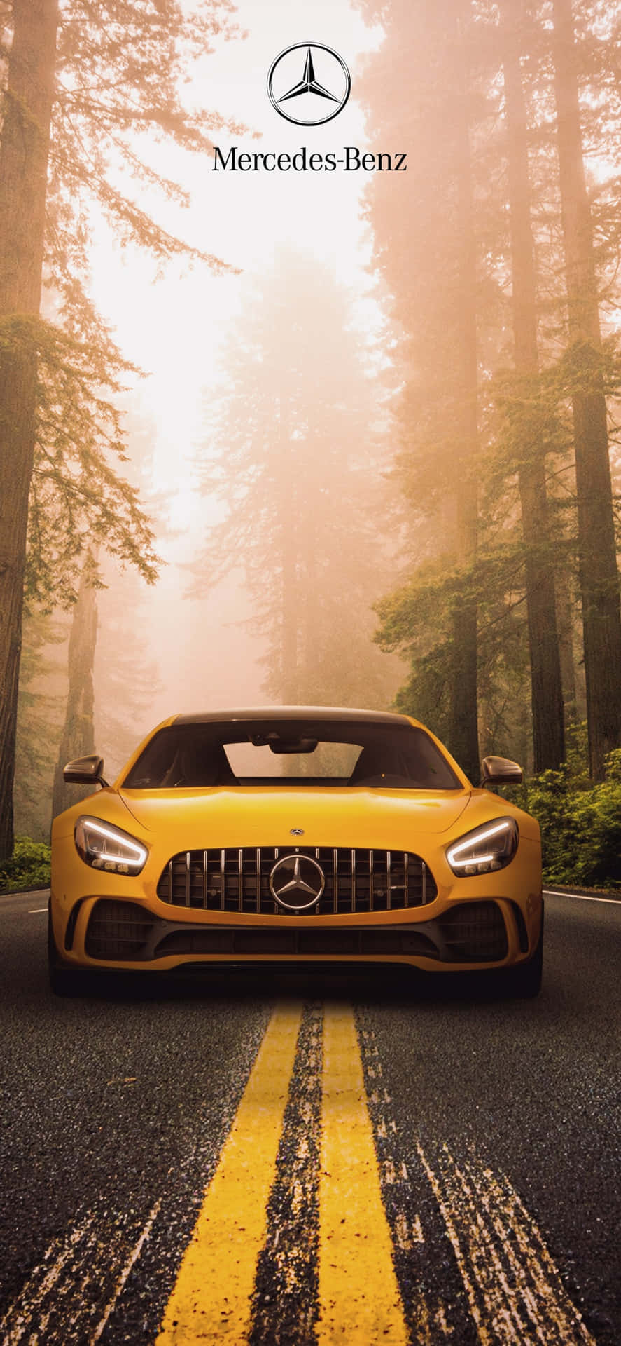 Yellow Iphone Xs Mercedes Amg Background In Forest